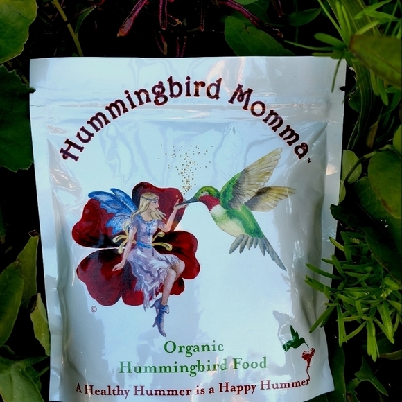 Hummingbird Momma Other - FOUR packs of Hummingbird Momma's organic hummingbird food